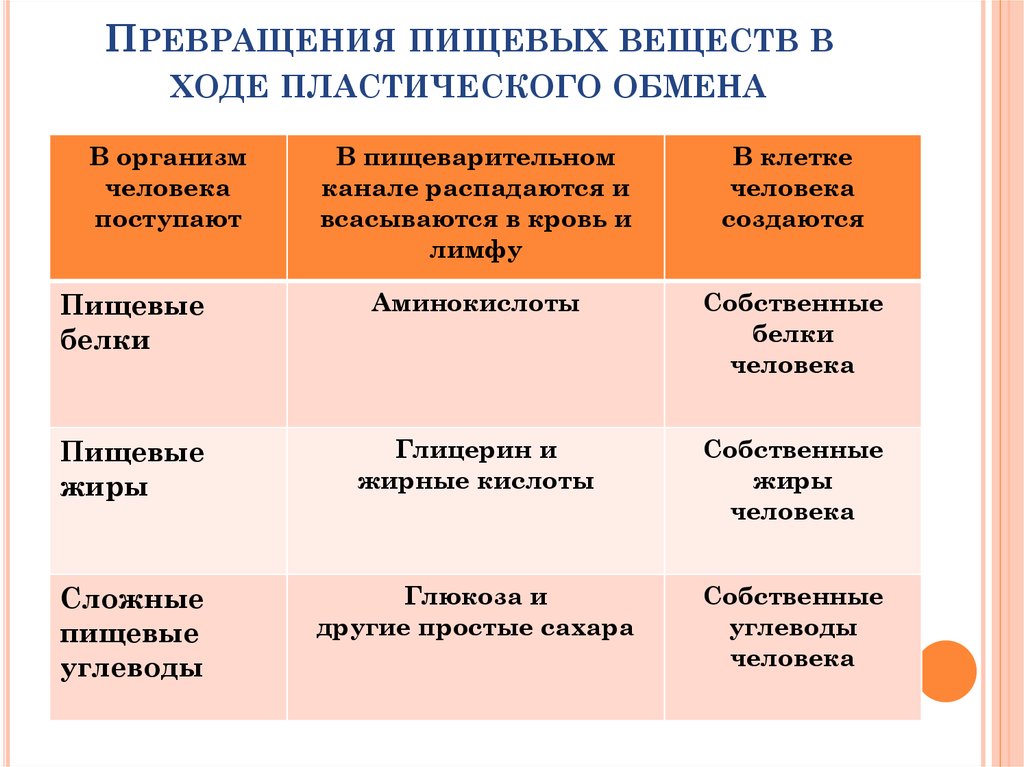 Превращение организма. Превращение питательных веществ в пластическом обмене. Превращение пищевых веществ в органах пищеварения 8 класс. Схема преобразования веществ в органах пищеварения. Превращение пищевых веществ в органах пищеварения схема.