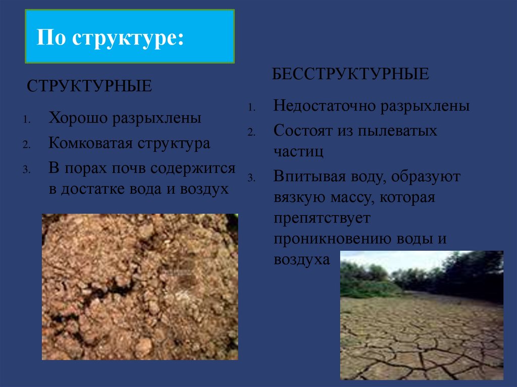 Различие почв бесструктурные. Комковатая структура почвы. Структурные и бесструктурные почвы. Бесструктурная почва. Структурные и без структурные почвы.