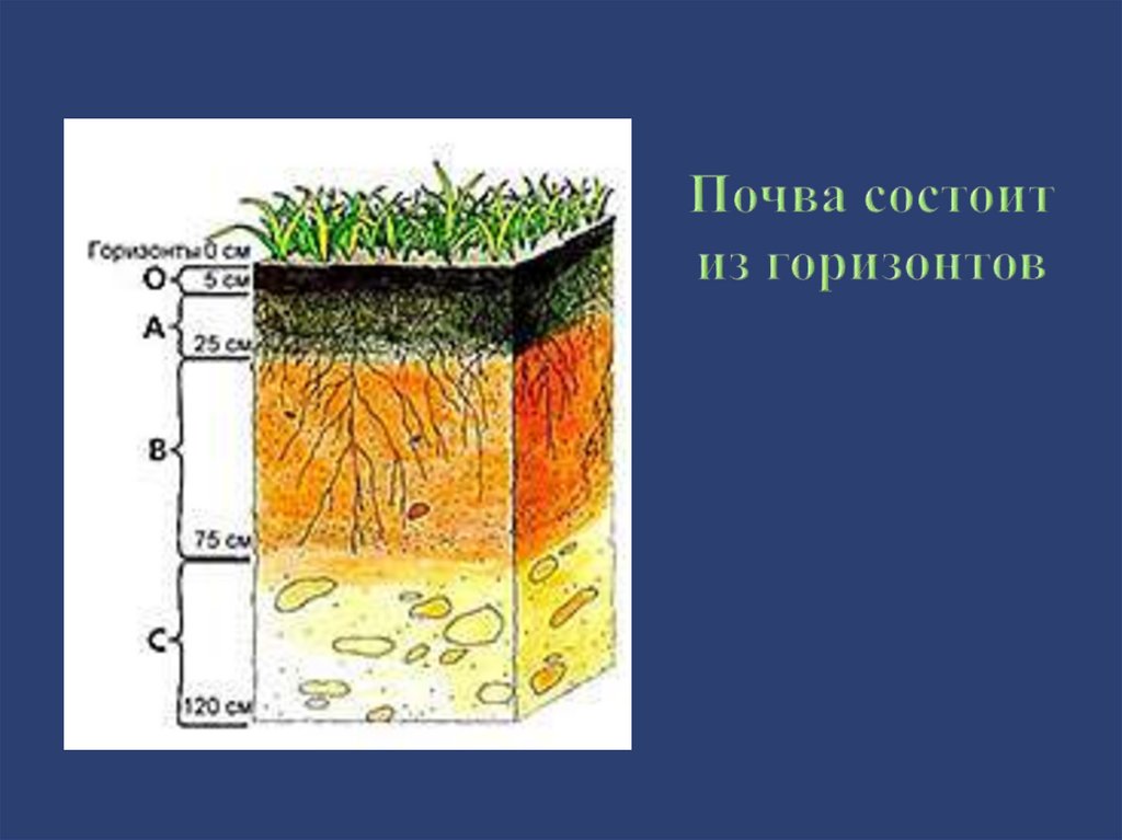 Отметить почва