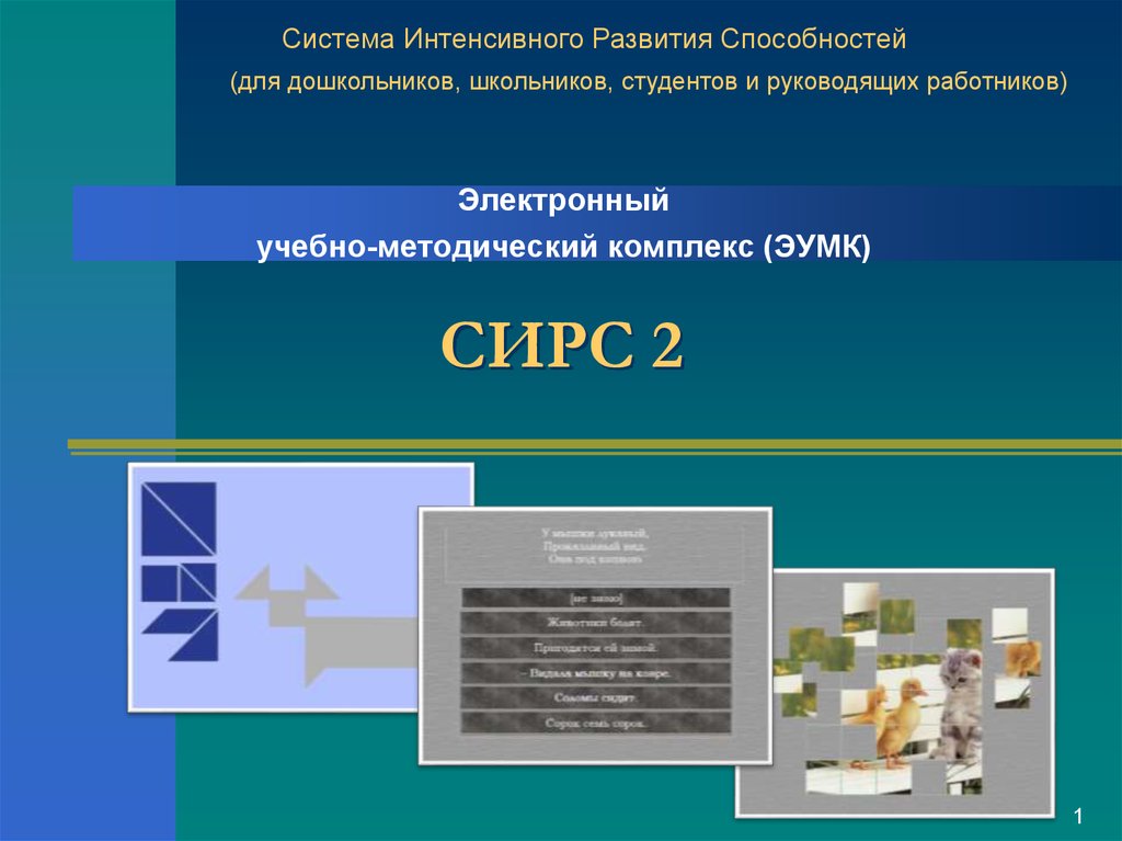 Интенсивная система. Система интенсивного развития способностей. Система Сирс. Система интенсивного развития способностей для дошкольников. Сирс для дошкольников.