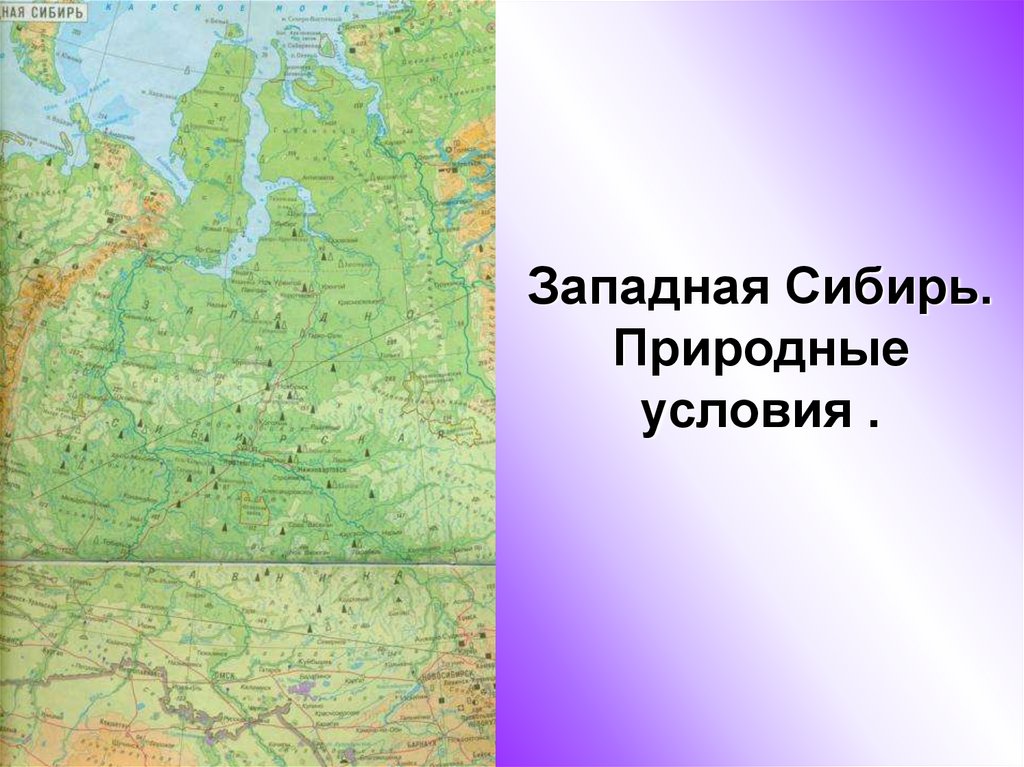 Западная сибирь природные ресурсы. Природные условия Западной Сибири. Природные условия и ресурсы Западной Сибири. Природные условия Западно Сибирского района. Природные усовиязападной Сибири.