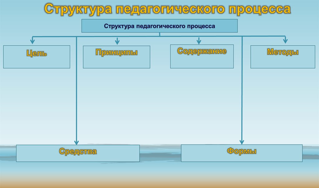 В структуру педагогического процесса входит. Структура педагогического процесса. Структура педагогической науки.