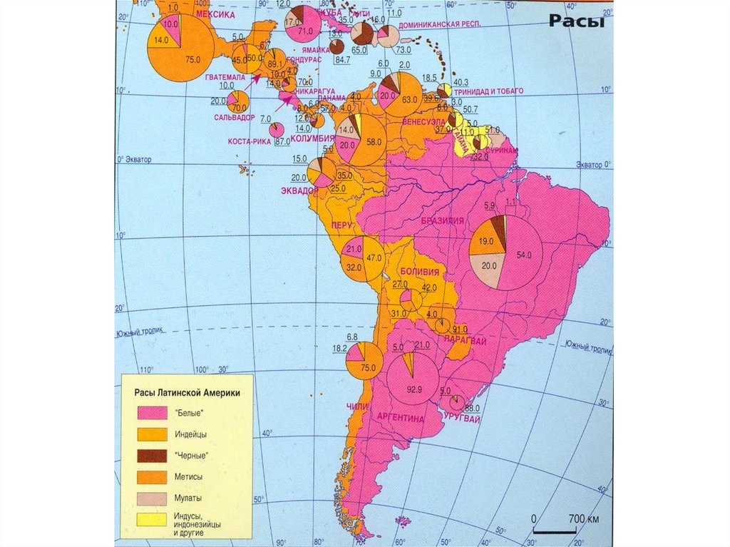 Высокая плотность населения южной америки. Карта плотности населения Латинской Америки. Этнический состав Латинской Америки карта. Карта плотности населения Южной Америки. Хозяйство Латинской Америки карта.