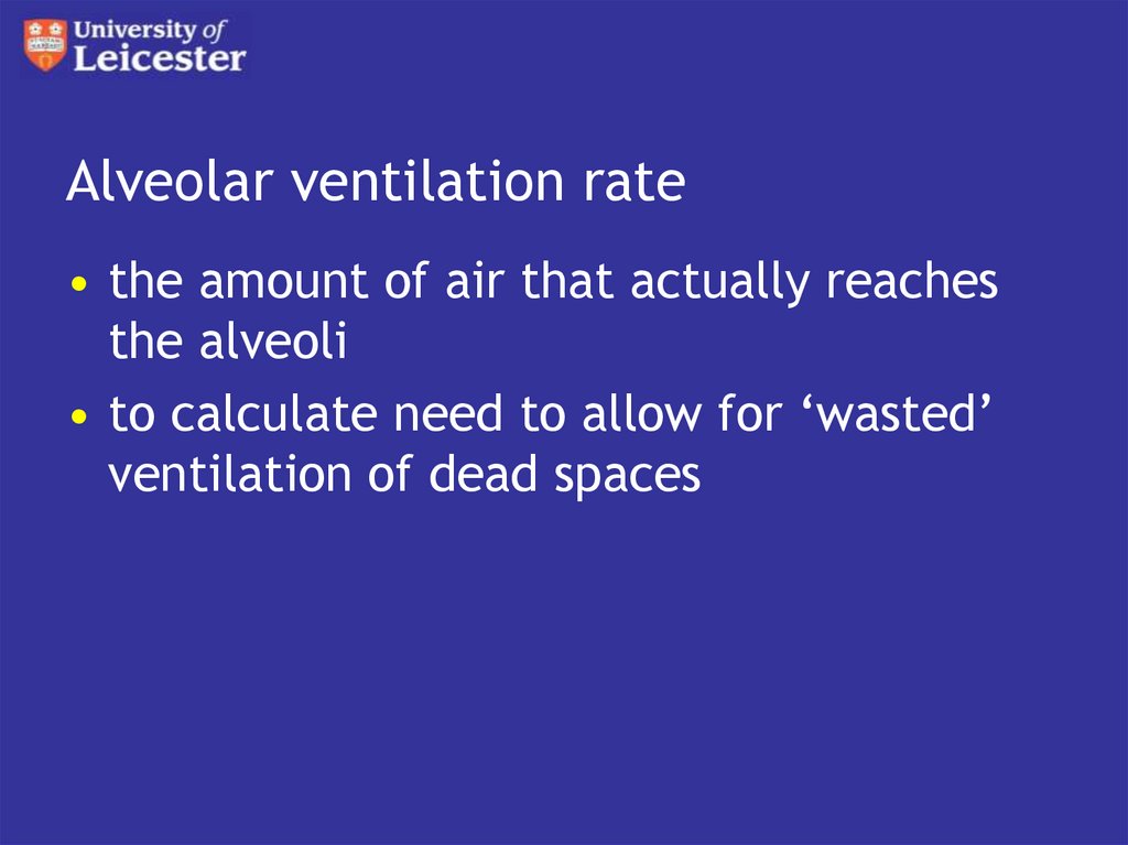 Alveolar ventilation rate