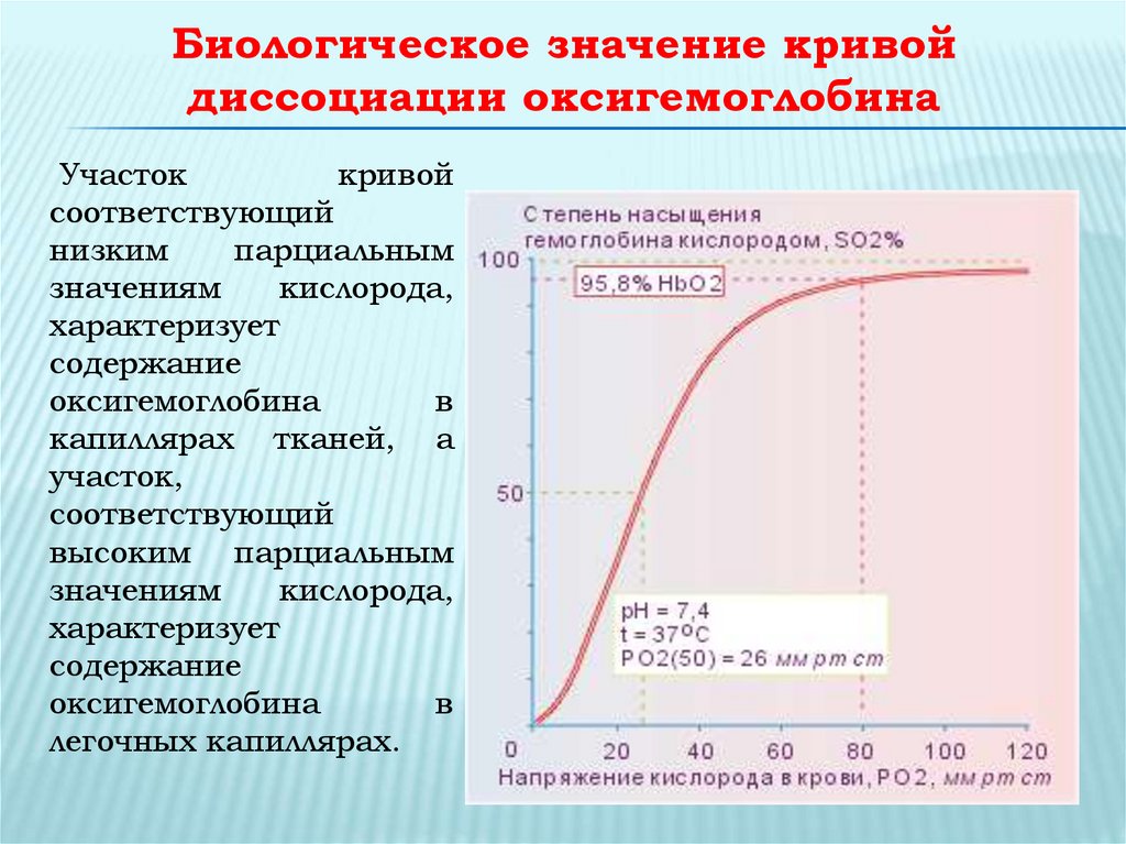 Диссоциация оксигемоглобина