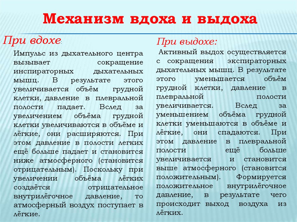 Механизм вдоха. Механизм акта выдоха физиология. Механизм акта вдоха и выдоха. Механизм вдоха и выдоха физиология. Механизмвдрха и выдоха.