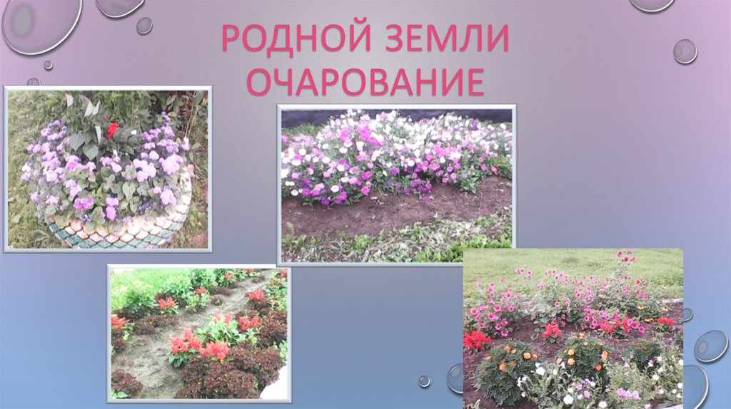 Родной земли очарование