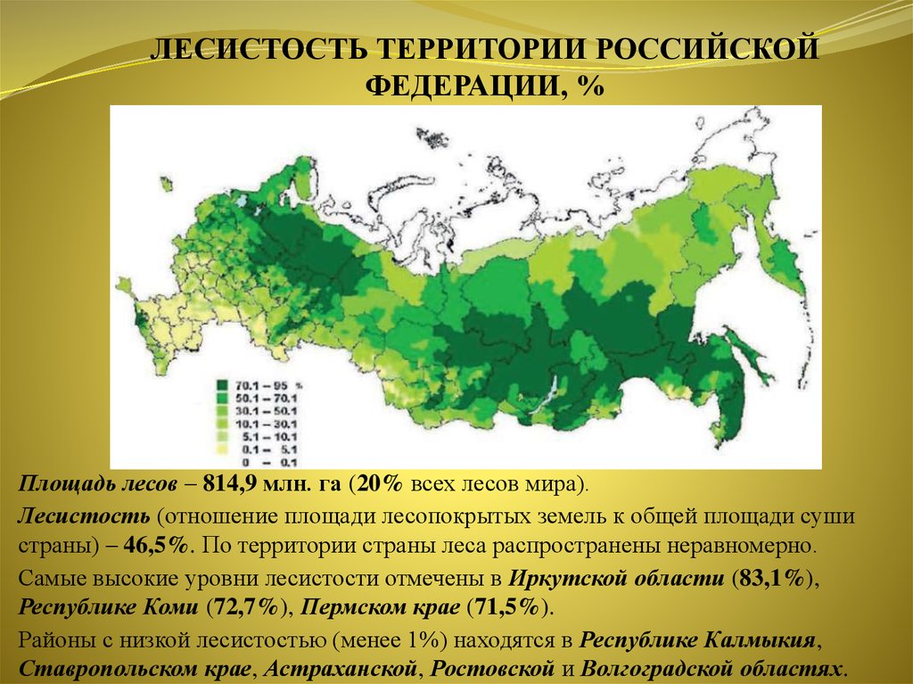 Почему россия лесная держава. Лесные ресурсы России карта лесистость. Лесистость территории Российской Федерации, % 2020 год. Лесистость территории это. Лес на территории Росси.