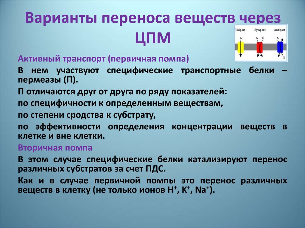 Участвует перенос. Активный перенос веществ. ЦПМ строение и функции. Виды переноса вещества. Функции ЦПМ.