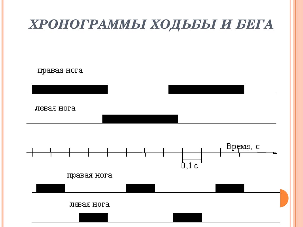 Временной график