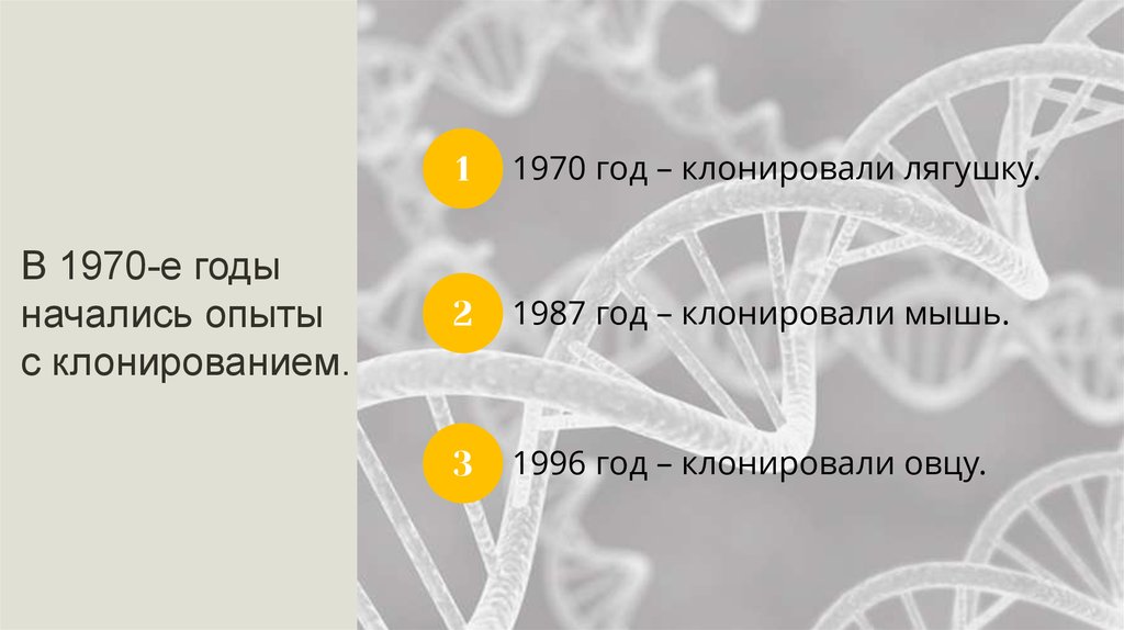 Кризисы 1970 1980 х гг становление постиндустриального информационного общества презентация 11 класс