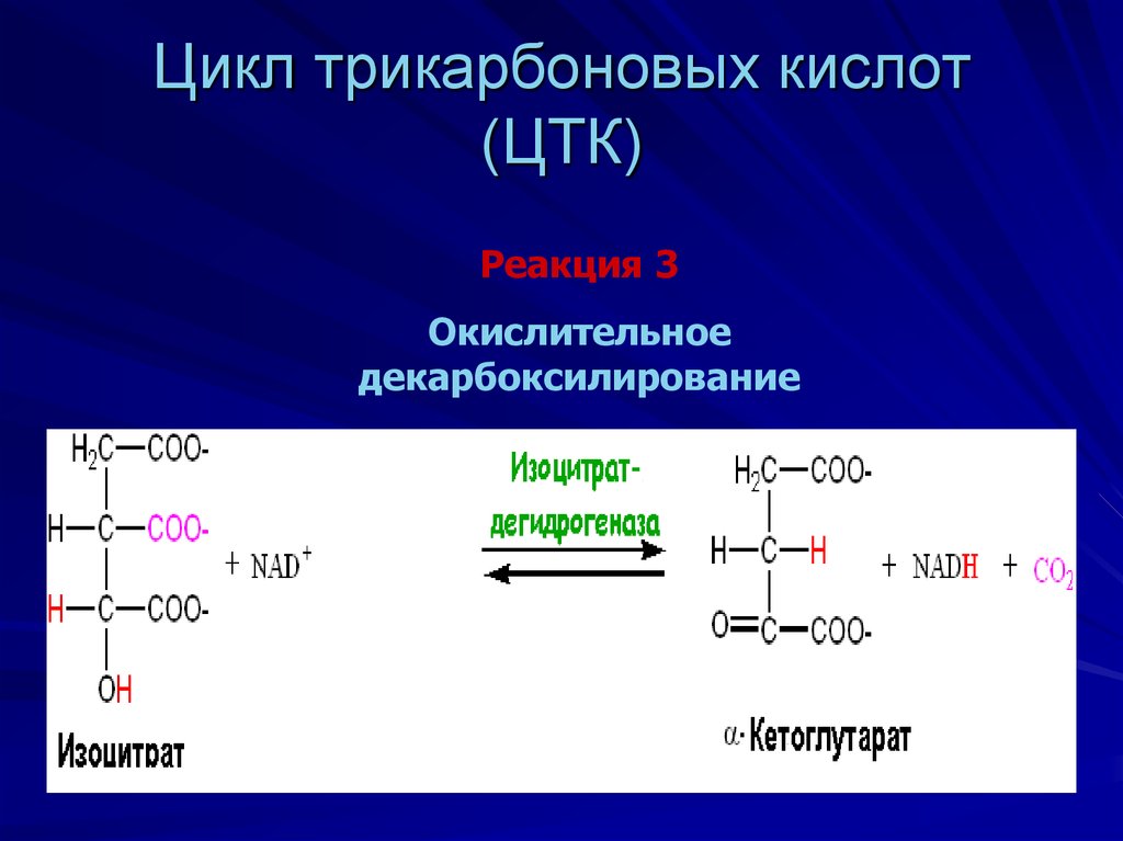 Схема цпэ для изоцитрата