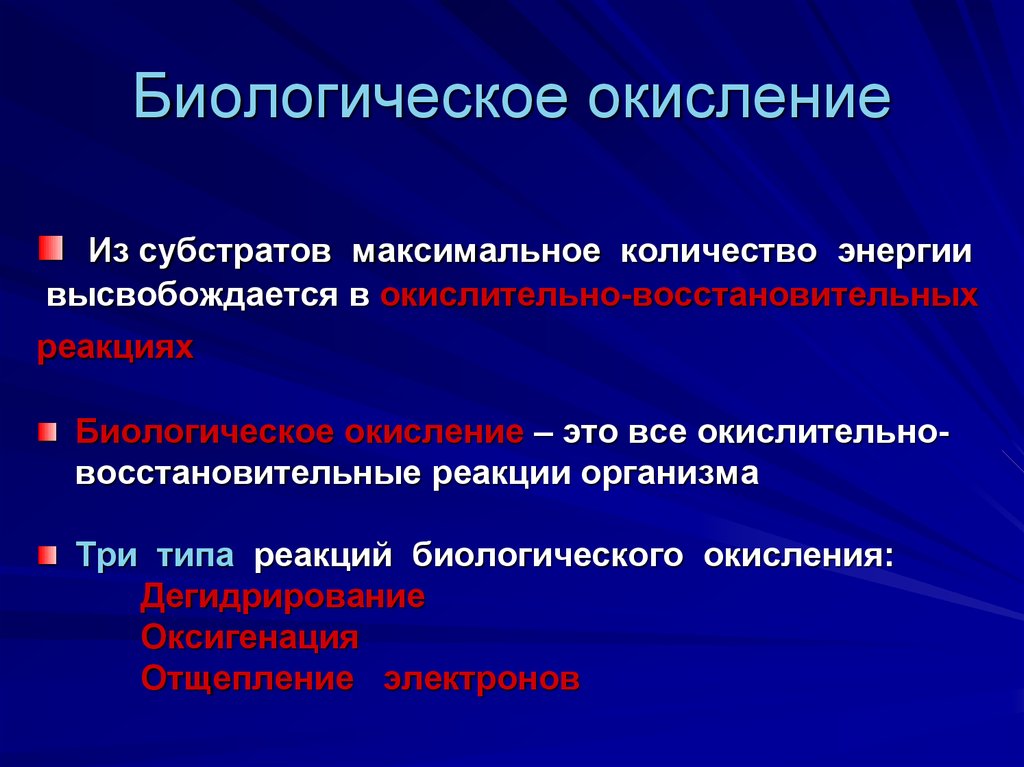 Современная схема биологического окисления