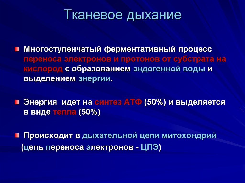 Общая схема тканевого дыхания