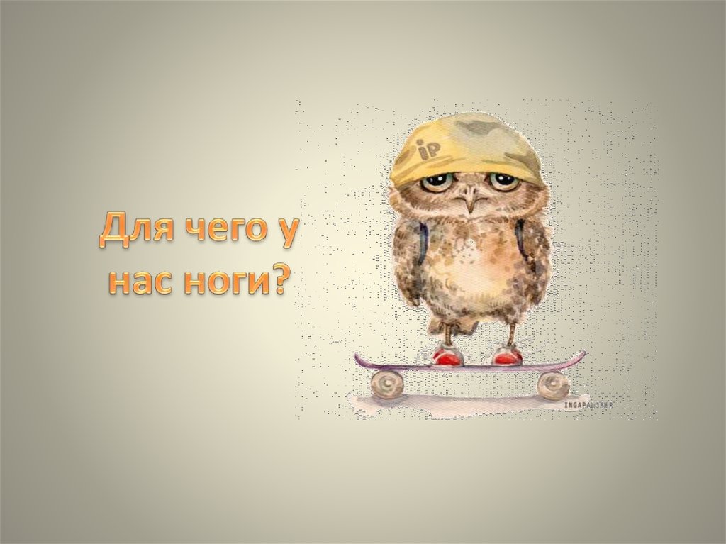 Для чего у нас ноги?