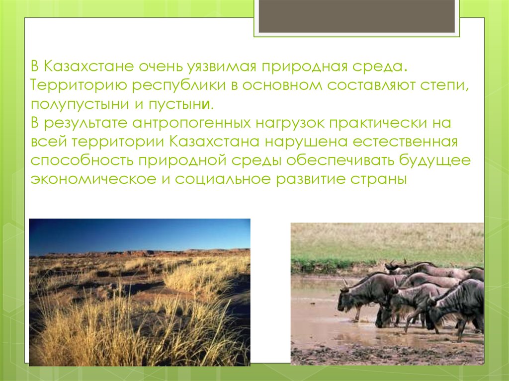 В Казахстане очень уязвимая природная среда. Территорию республики в основном составляют степи, полупустыни и пустыни. В