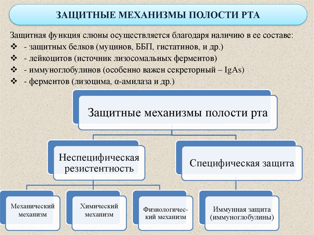 Роль в механизме. Основные механизмы иммунной защиты слизистой полости рта. Механизмы врожденного иммунитета полости рта. Защитные механизмы слюны. Защитная роль системы гемостаза полости рта..