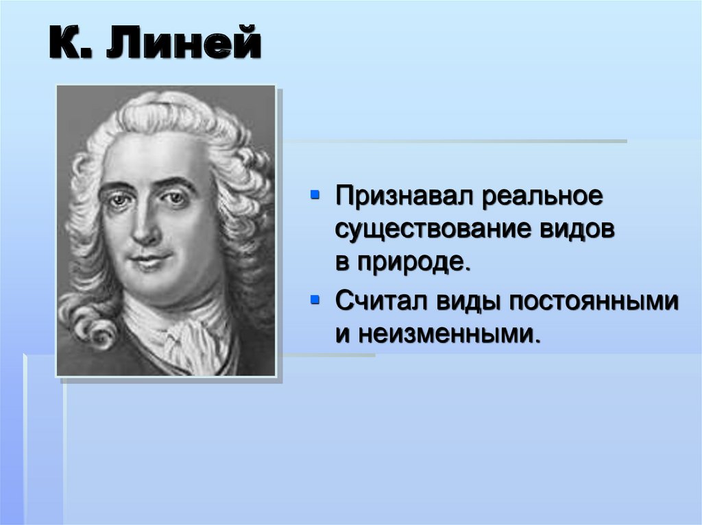 К линней создал. Линней. Линь. Реальность существования вида Линней.