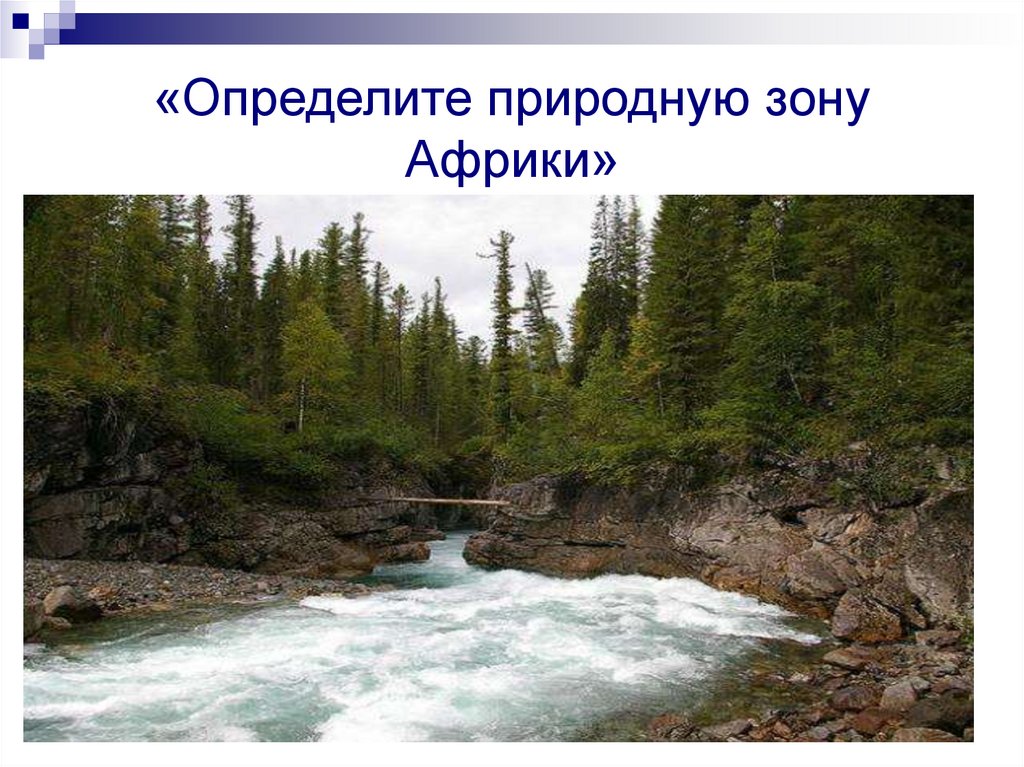 Определи природную. Определить природную зону. Определите природную. Определить природную зону по фото. Определить естественный.