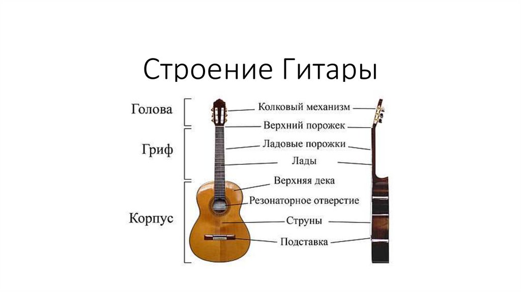 Схема гитары