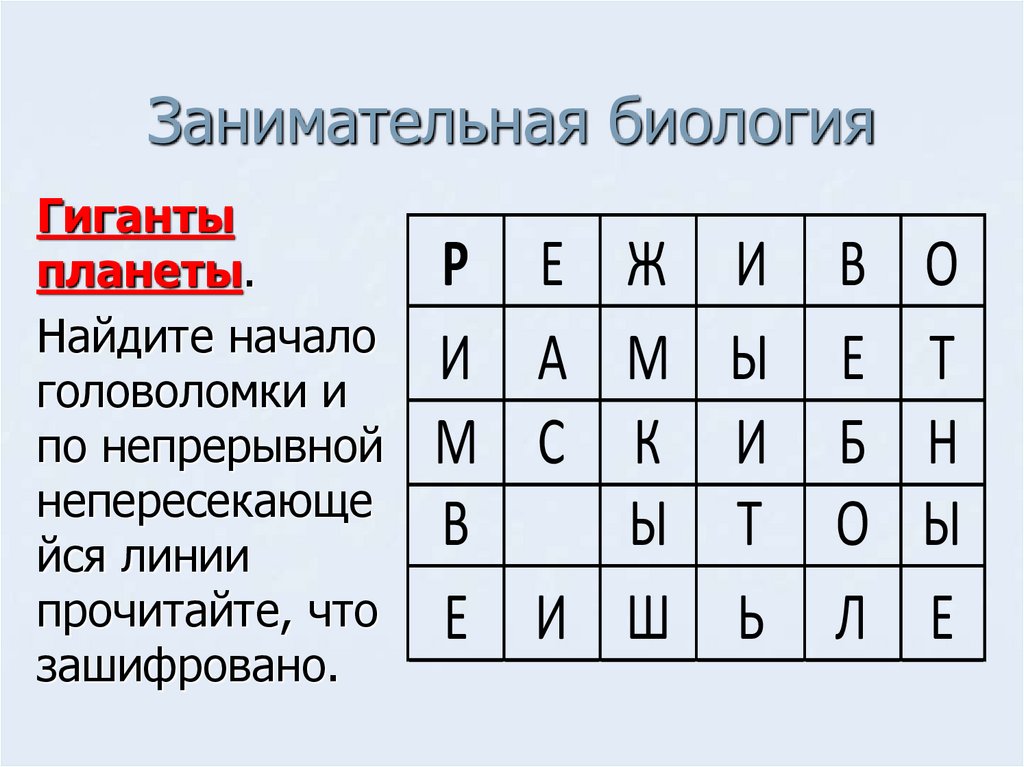 Занимательная биология презентация игра