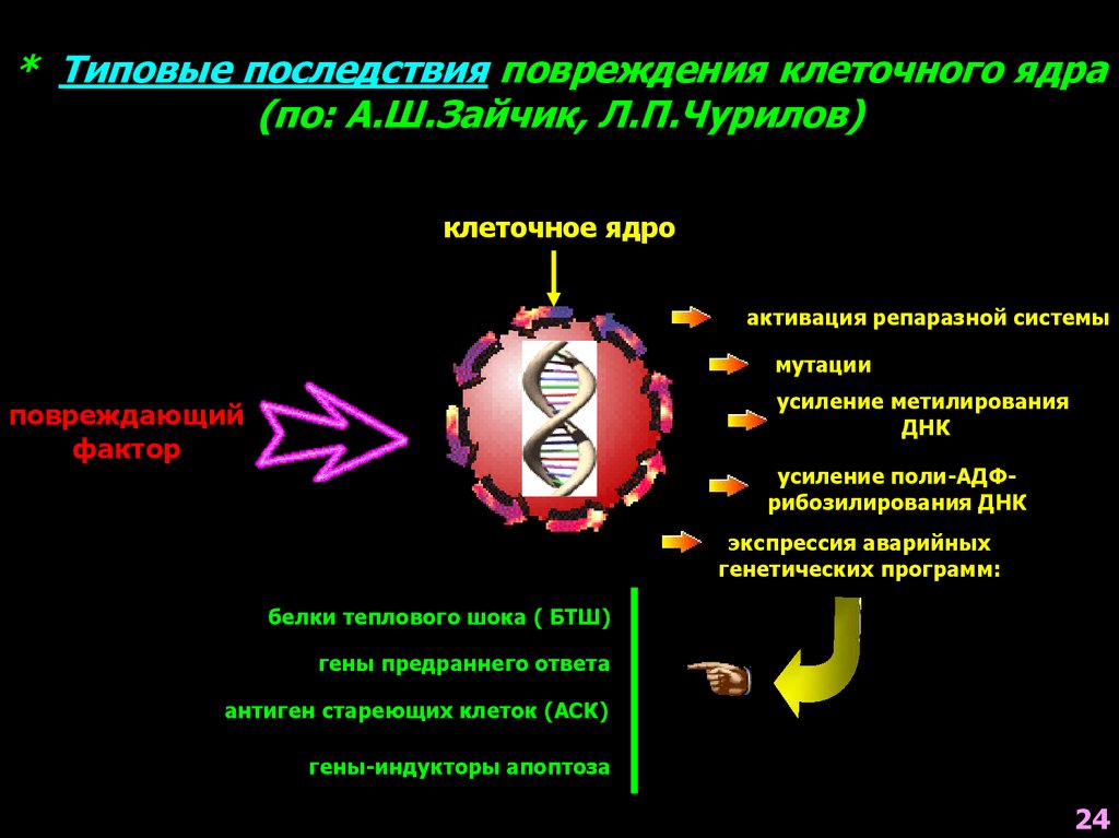 Изменения клетки