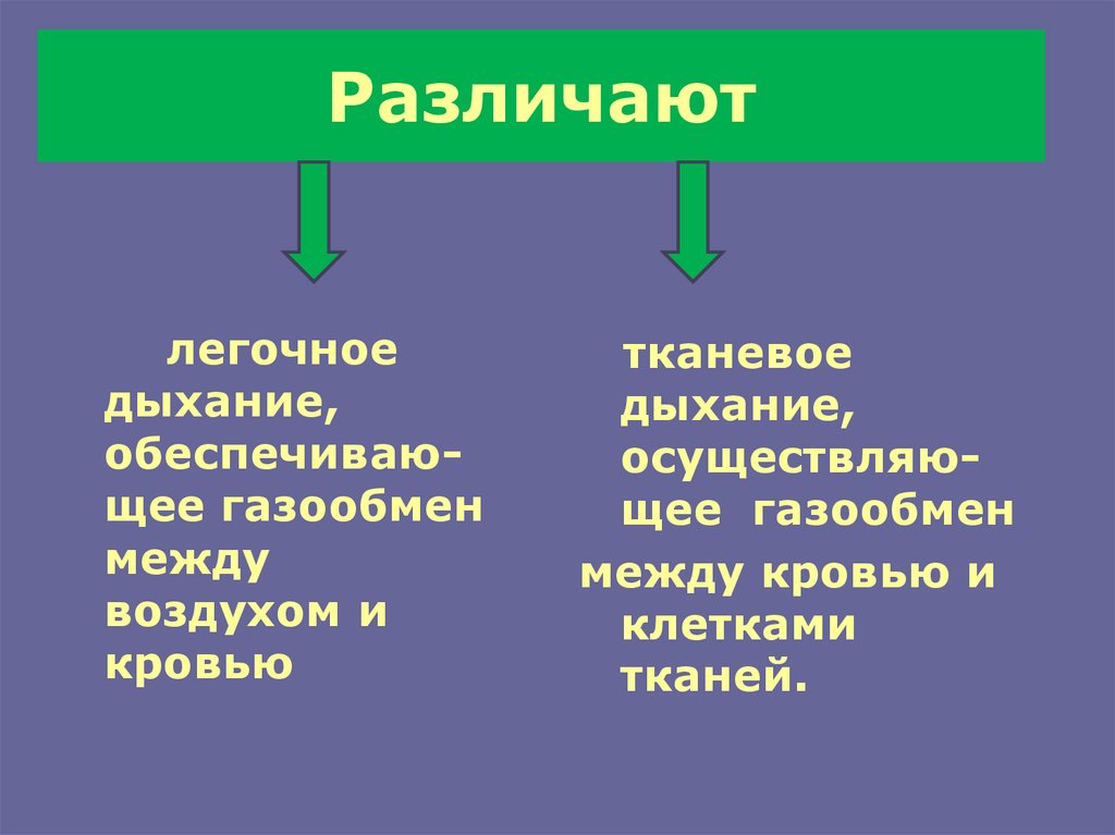 Признаки легочного дыхания. Легочное и тканевое дыхание. Легочное и тканевое дыхание таблица. Лёгкие легочное и тканевое дыхание. Сравнение легочного и тканевого дыхания таблица.