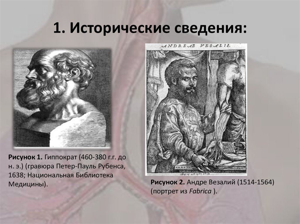1. Исторические сведения:
