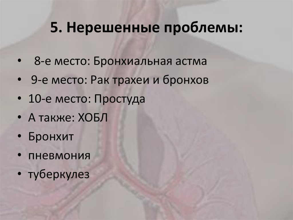 5. Нерешенные проблемы: