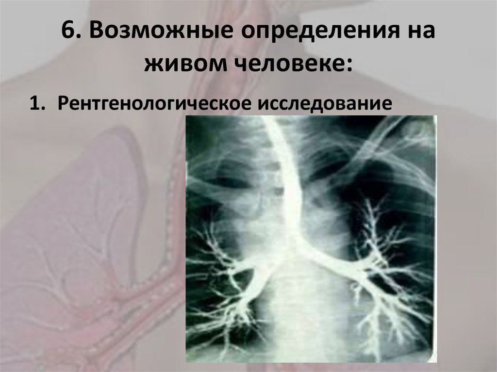 6. Возможные определения на живом человеке: