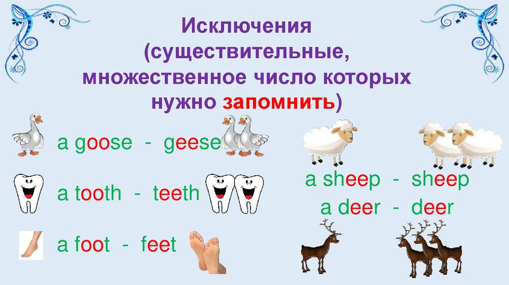Морковь множественное число. Sheep во множественном числе на английском. Множественное число существительных Sheep. Овцы во множественном числе на английском. Sheepsмножественное число.