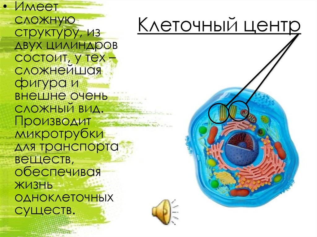 Сложные клетки