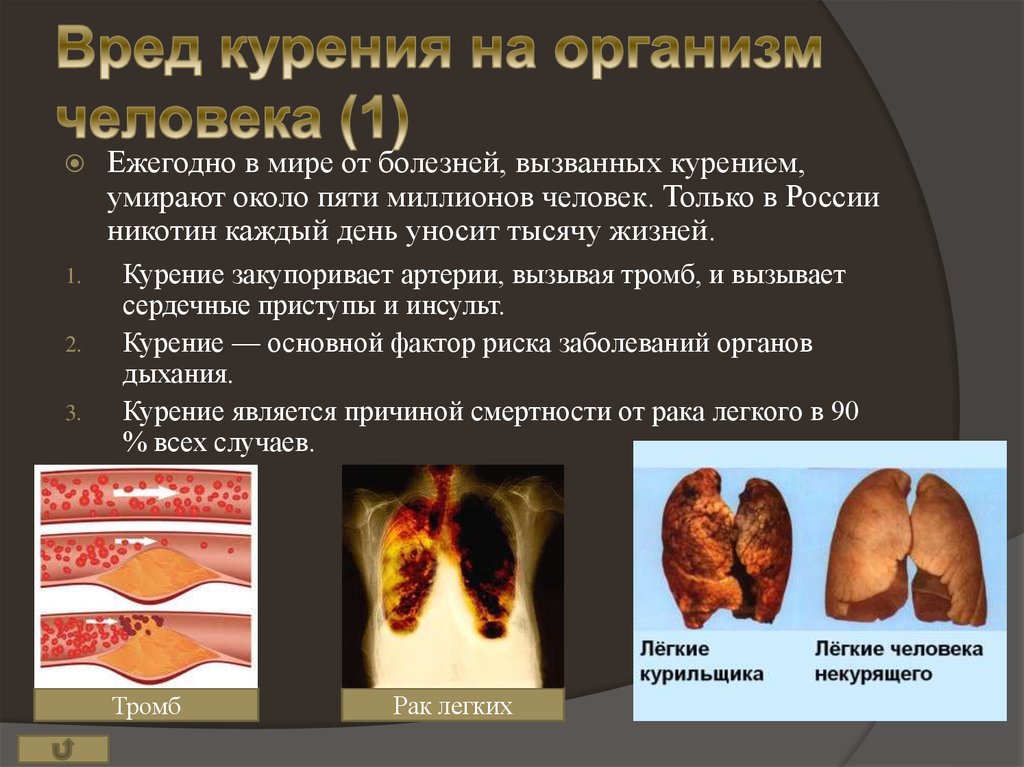 Вред курения на организм человека (1)