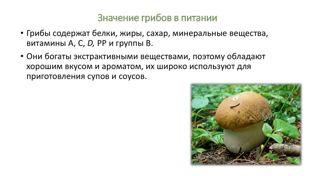 Значение грибов в питании