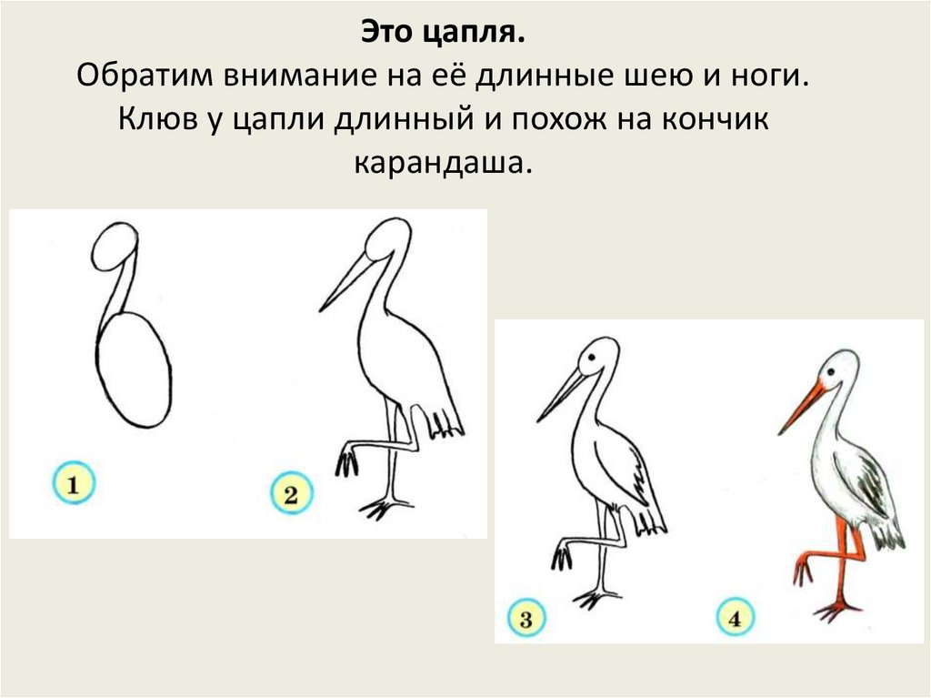 Презентация урока изо 2 класс пропорции выражают характер