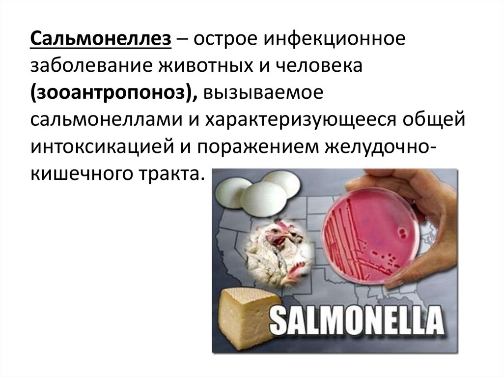 Изменяются ли продукты при сальмонеллезе