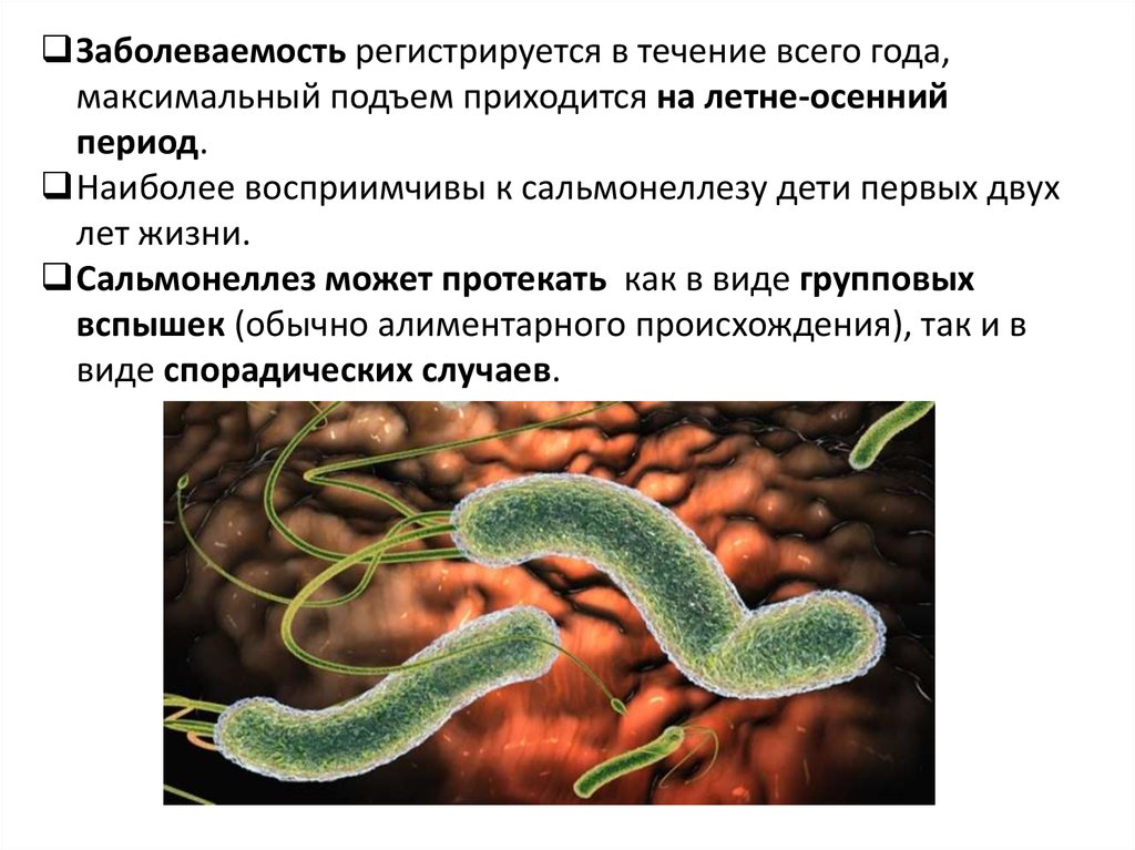 При сальмонеллезе передача инфекции возможна через ответ