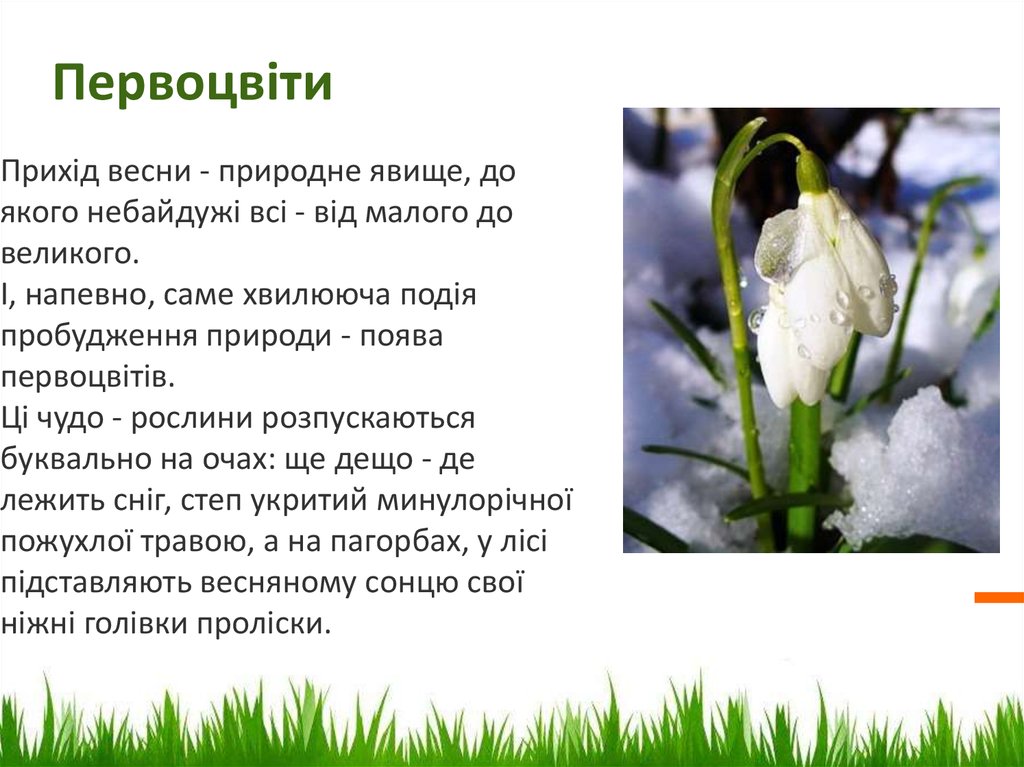 Текст про весну 2 класс русский. Первоцвет весенний. Описание весны. Описание весенних цветов. Рассказать о весне.