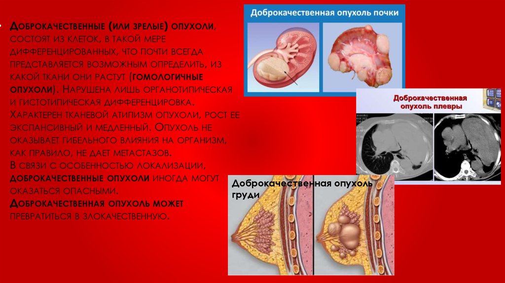 Генетика и онкология - презентация онлайн