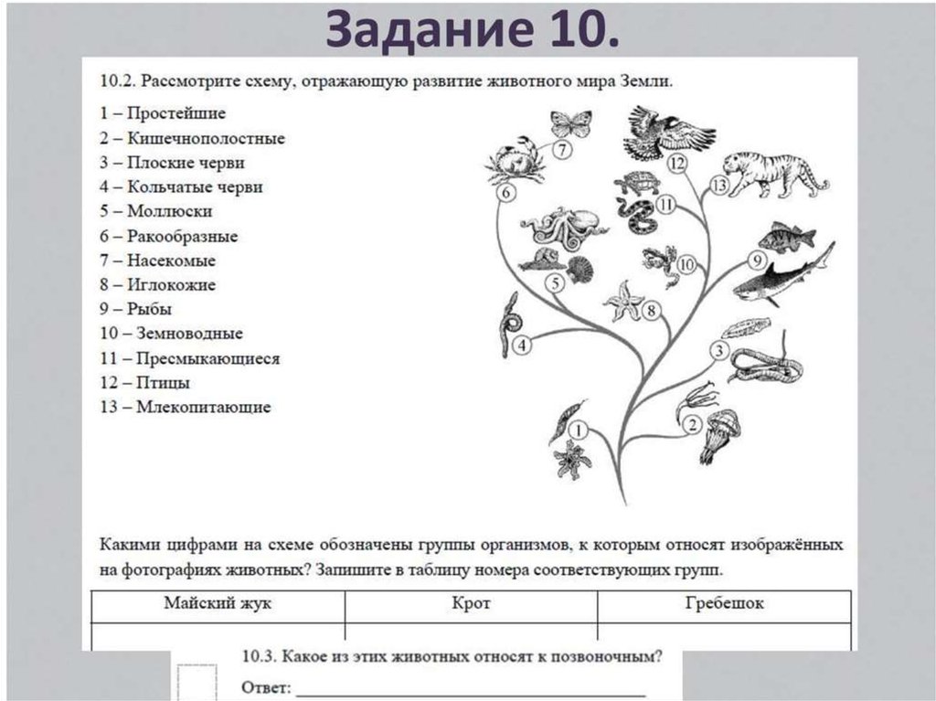 Впр по биологии первый вариант 5 класс