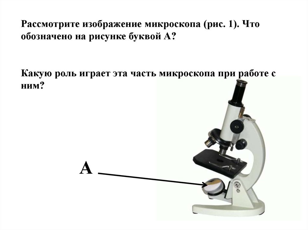Какую функцию зеркало в микроскопе. Рассмотрите изображение микроскопа. Какие части микроскопа обозначены буквами. Рассмотрите рисунок микроскопа. Части микроскопа и их названия.