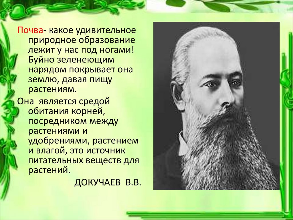 Какую почву докучаев назвал царем почв