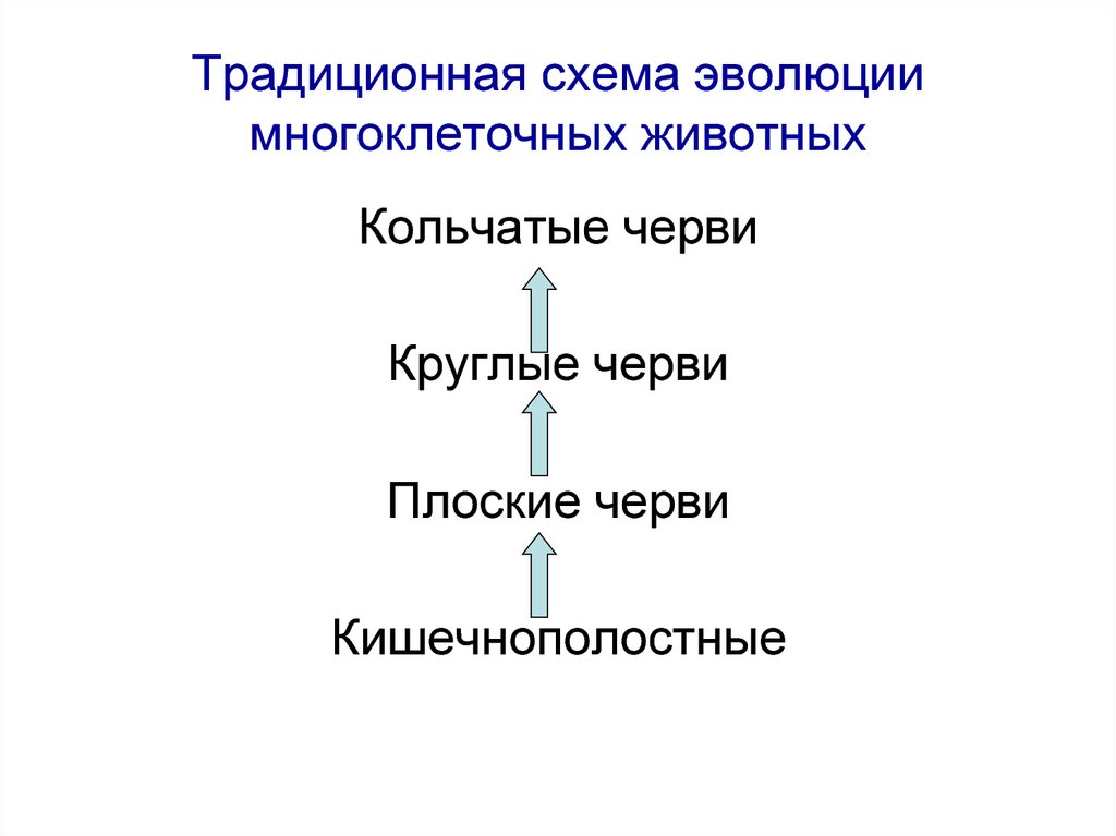 Схема эволюционного процесса