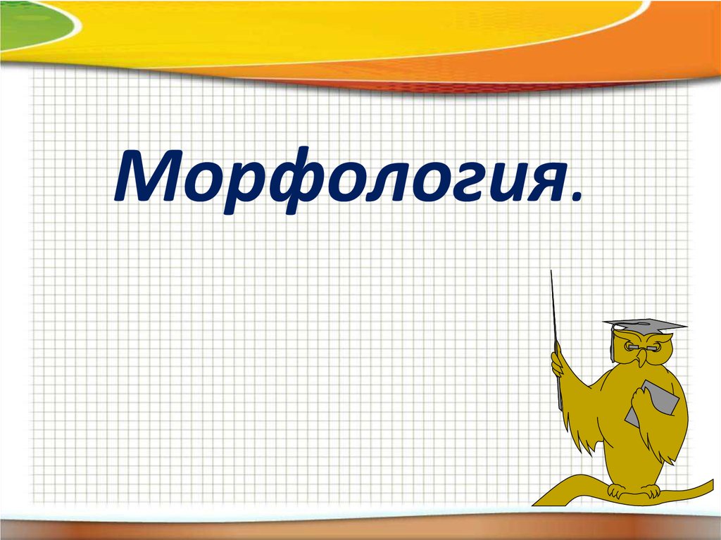 Город морфология рисунок