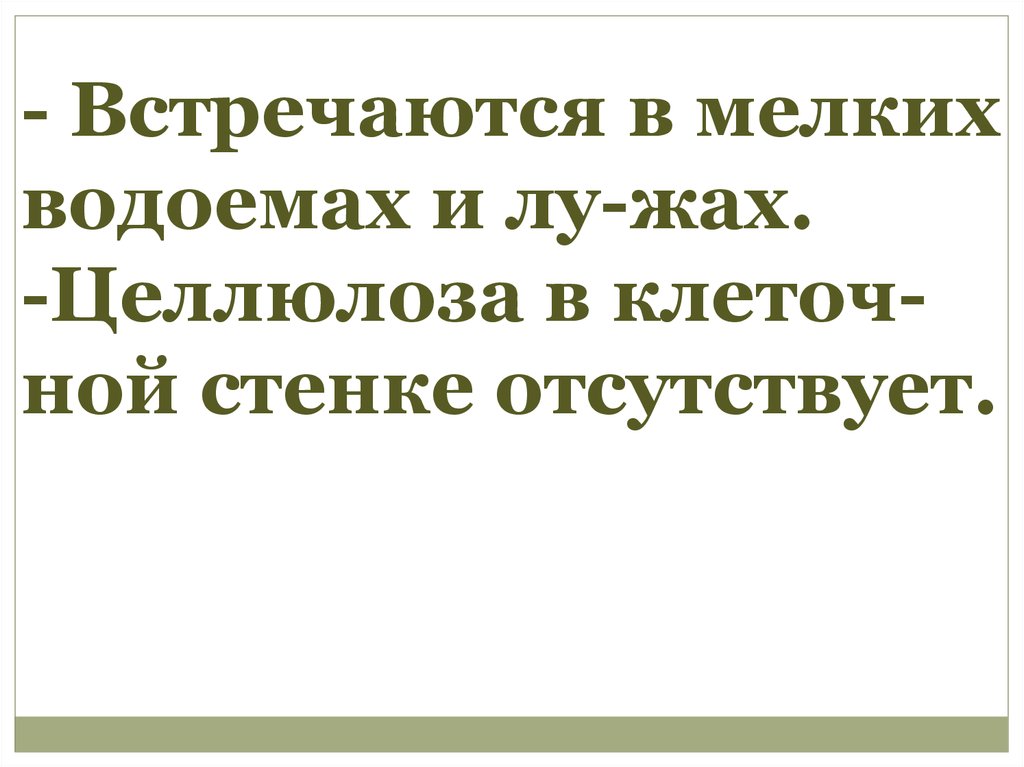 - Встречаются в мелких водоемах и лу-жах. -Целлюлоза в клеточ-ной стенке отсутствует.