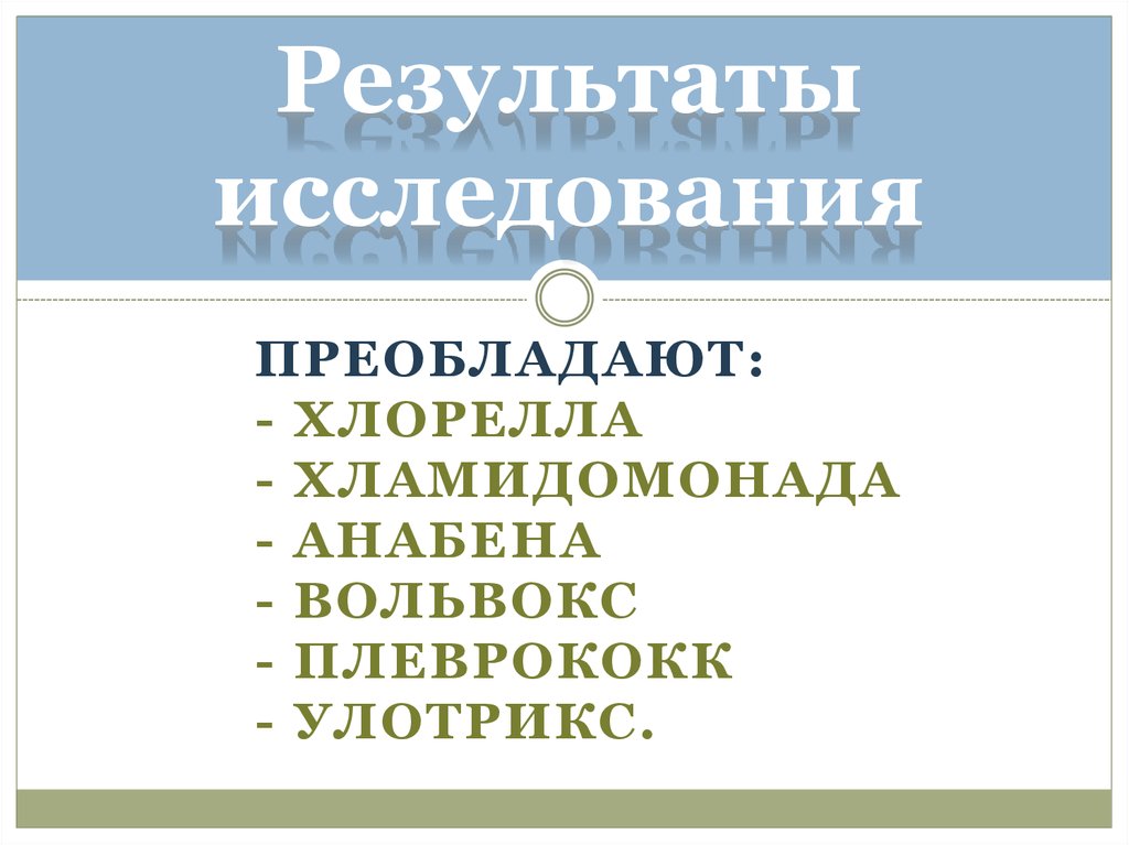 Результаты исследования