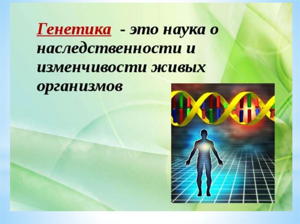 Генетика это. Генетика это наука о. Генетика как наука картинки. Генетика и качество жизни классный час презентация. Генетика в обществознании это.