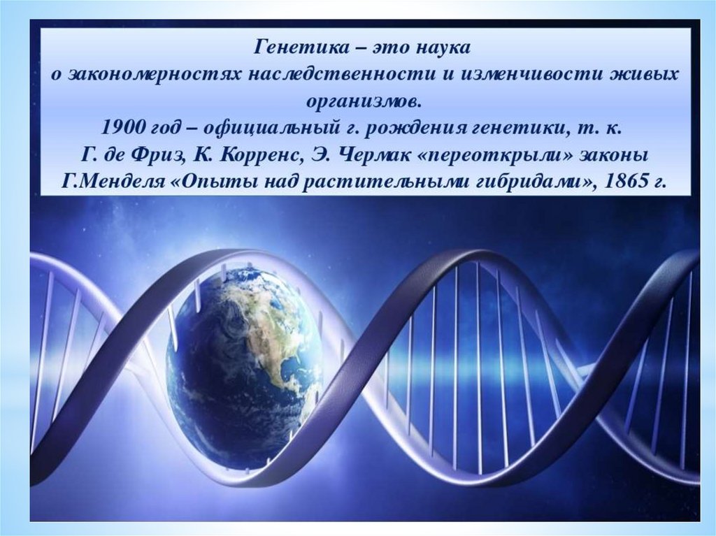 Презентация на тему генетика