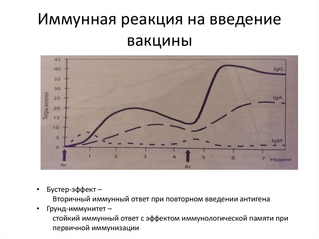 Иммунная реакция