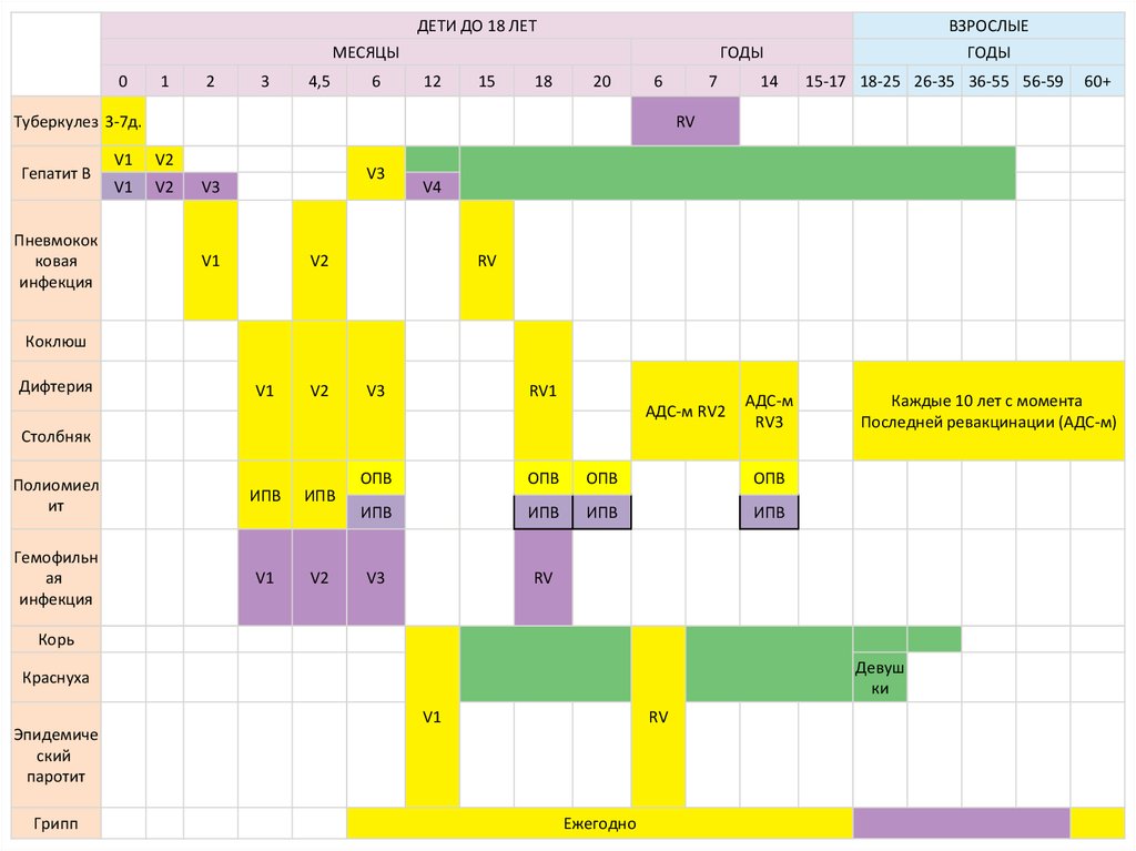 План иммунопрофилактики взрослого человека